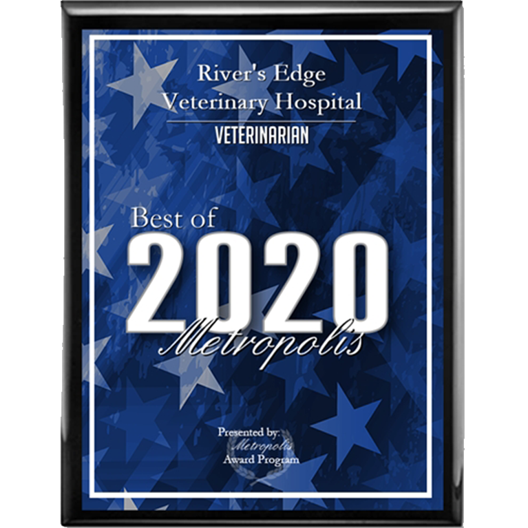 2020-Best-of-Metropolis-Award---min